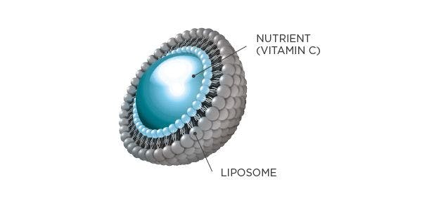 Cross section of a liposome