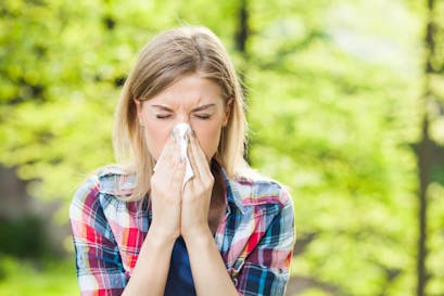 Sensibilisation aux allergies